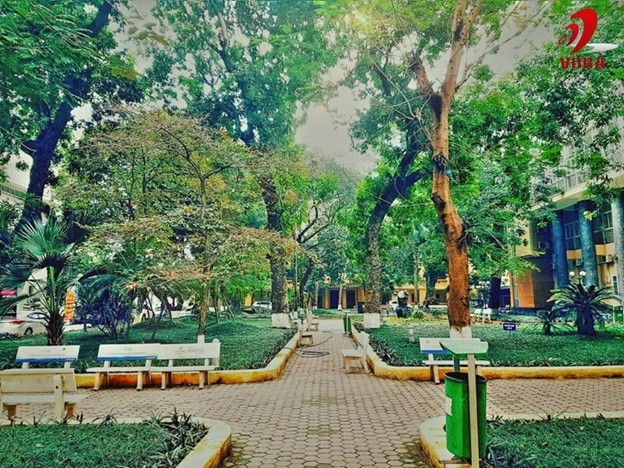 [có lỗi khi tải ảnh]